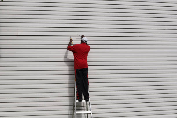 Affordable Siding Repair and Maintenance Services in Mazon, IL